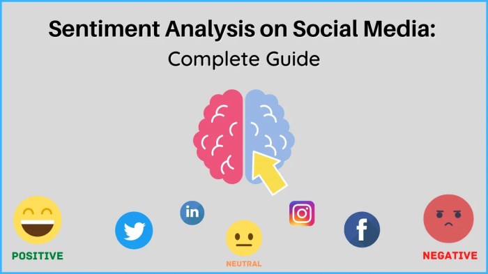 Monyet Berjas Hujan di Media Sosial: Analisis Sentimen dan Tren